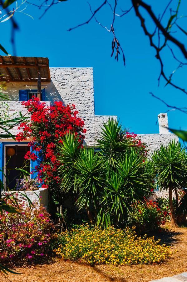 Santa Maria Traditional Stone Studio Santa Maria (Paros) Exterior foto